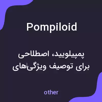 معنی pompiloid به فارسی معنی pompiloid به فارسی