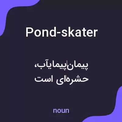 معنی pond-skater به فارسی معنی pond-skater به فارسی