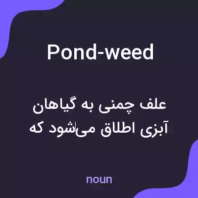 معنی pond-weed به فارسی معنی pond-weed به فارسی