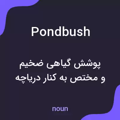 معنی pondbush به فارسی معنی pondbush به فارسی