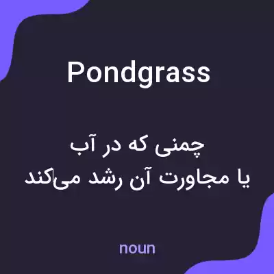 معنی pondgrass به فارسی معنی pondgrass به فارسی