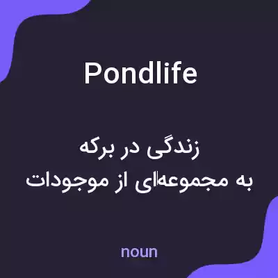 معنی pond life به فارسی معنی pond life به فارسی