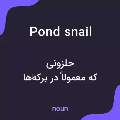 معنی pond snail به فارسی معنی pond snail به فارسی