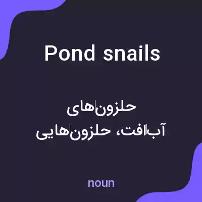معنی pond snails به فارسی معنی pond snails به فارسی