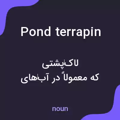 معنی pond terrapin به فارسی معنی pond terrapin به فارسی