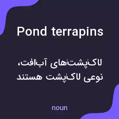 معنی pond terrapins به فارسی معنی pond terrapins به فارسی