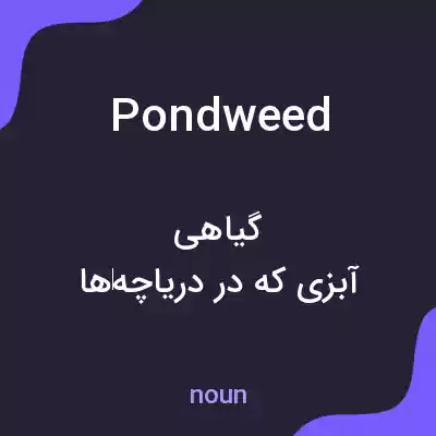 معنی pondweed به فارسی معنی pondweed به فارسی