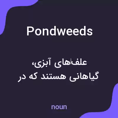 معنی pondweeds به فارسی معنی pondweeds به فارسی