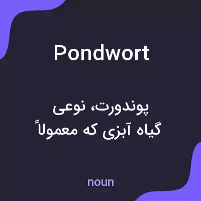 معنی pondwort به فارسی معنی pondwort به فارسی
