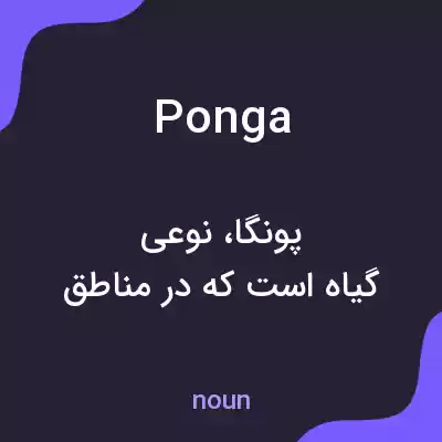 معنی ponga به فارسی معنی ponga به فارسی