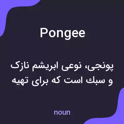 معنی pongee به فارسی معنی pongee به فارسی