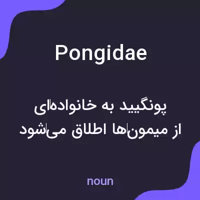 معنی pongidae به فارسی معنی pongidae به فارسی