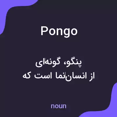 معنی pongo به فارسی معنی pongo به فارسی