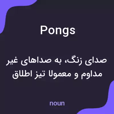 معنی pongs به فارسی