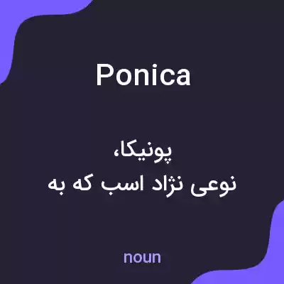 معنی ponica به فارسی معنی ponica به فارسی