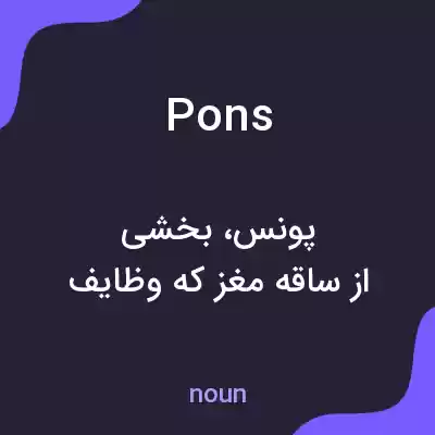 معنی pons به فارسی معنی pons به فارسی