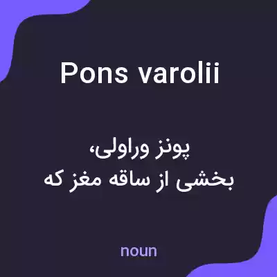 معنی pons varolii به فارسی معنی pons varolii به فارسی