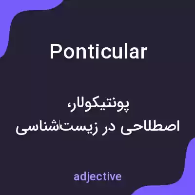 معنی ponticular به فارسی معنی ponticular به فارسی