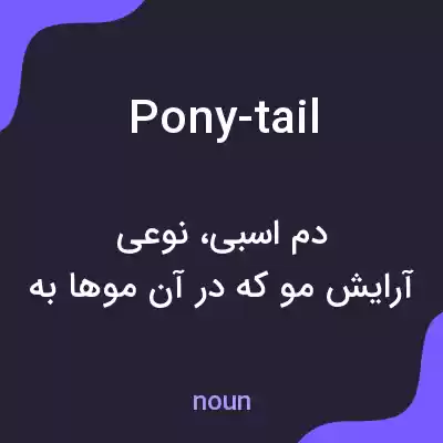 معنی pony-tail به فارسی معنی pony-tail به فارسی