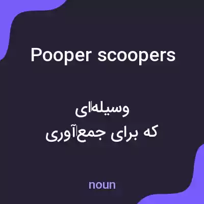معنی pooper scoopers به فارسی معنی pooper scoopers به فارسی