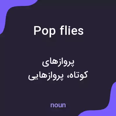 معنی pop flies به فارسی معنی pop flies به فارسی