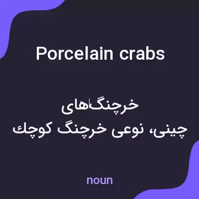 معنی porcelain crabs به فارسی معنی porcelain crabs به فارسی
