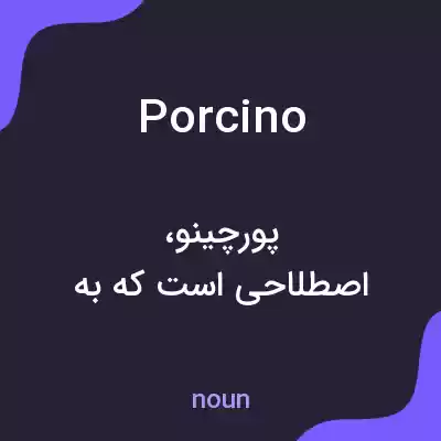 معنی porcino به فارسی معنی porcino به فارسی