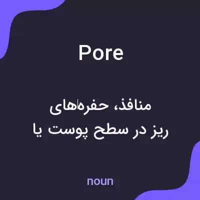 معنی pore به فارسی معنی pore به فارسی