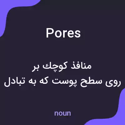 معنی pores به فارسی معنی pores به فارسی