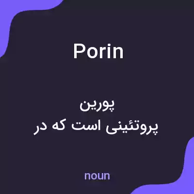 معنی porin به فارسی معنی porin به فارسی