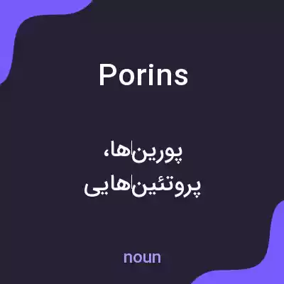 معنی porins به فارسی معنی porins به فارسی