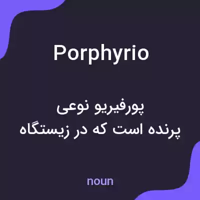 معنی porphyrio به فارسی معنی porphyrio به فارسی