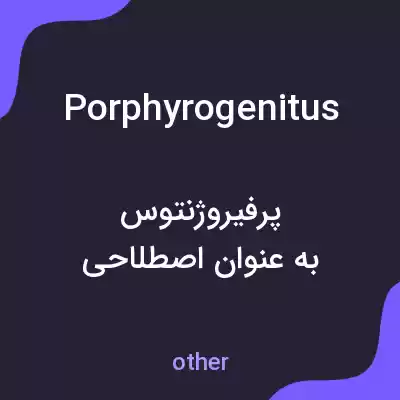 معنی porphyrogenitus به فارسی معنی porphyrogenitus به فارسی