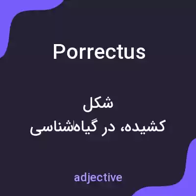 معنی porrectus به فارسی معنی porrectus به فارسی