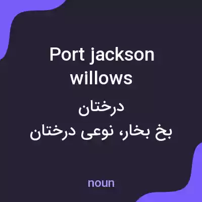 معنی port jackson willows به فارسی معنی port jackson willows به فارسی