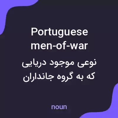 معنی portuguese men-of-war به فارسی