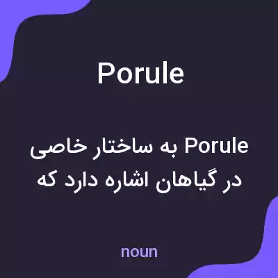 معنی porule به فارسی معنی porule به فارسی