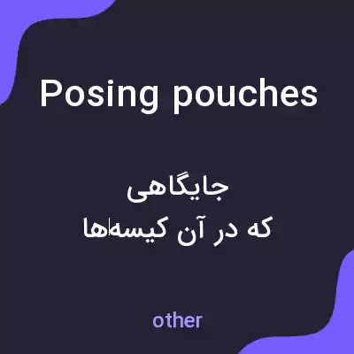 معنی posing pouches به فارسی