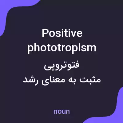 معنی positive phototropism به فارسی معنی positive phototropism به فارسی