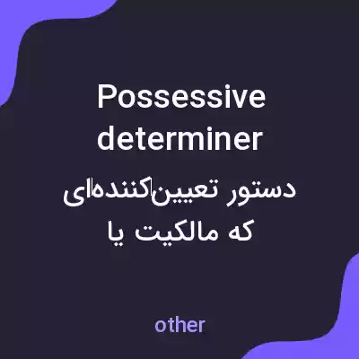 معنی possessive determiner به فارسی معنی possessive determiner به فارسی