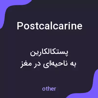 معنی postcalcarine به فارسی معنی postcalcarine به فارسی