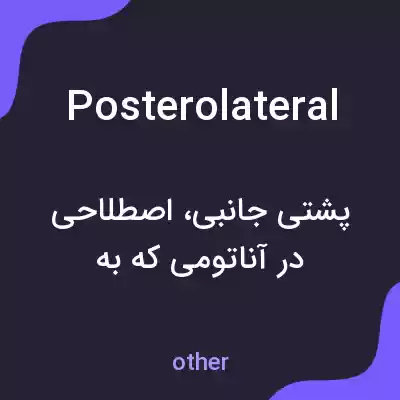 معنی posterolateral به فارسی معنی posterolateral به فارسی