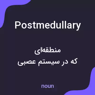 معنی postmedullary به فارسی معنی postmedullary به فارسی