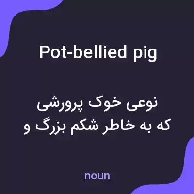 معنی pot-bellied pig به فارسی معنی pot-bellied pig به فارسی