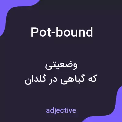 معنی pot-bound به فارسی معنی pot-bound به فارسی