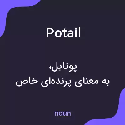 معنی potail به فارسی