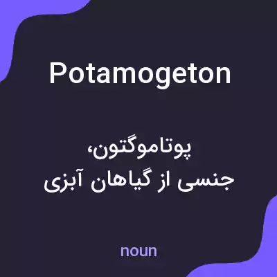 معنی potamogeton به فارسی معنی potamogeton به فارسی