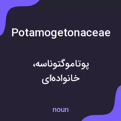 معنی potamogetonaceae به فارسی معنی potamogetonaceae به فارسی