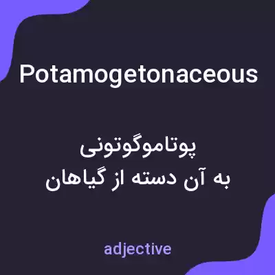 معنی potamogetonaceous به فارسی معنی potamogetonaceous به فارسی