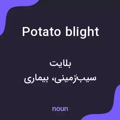 معنی potato blight به فارسی